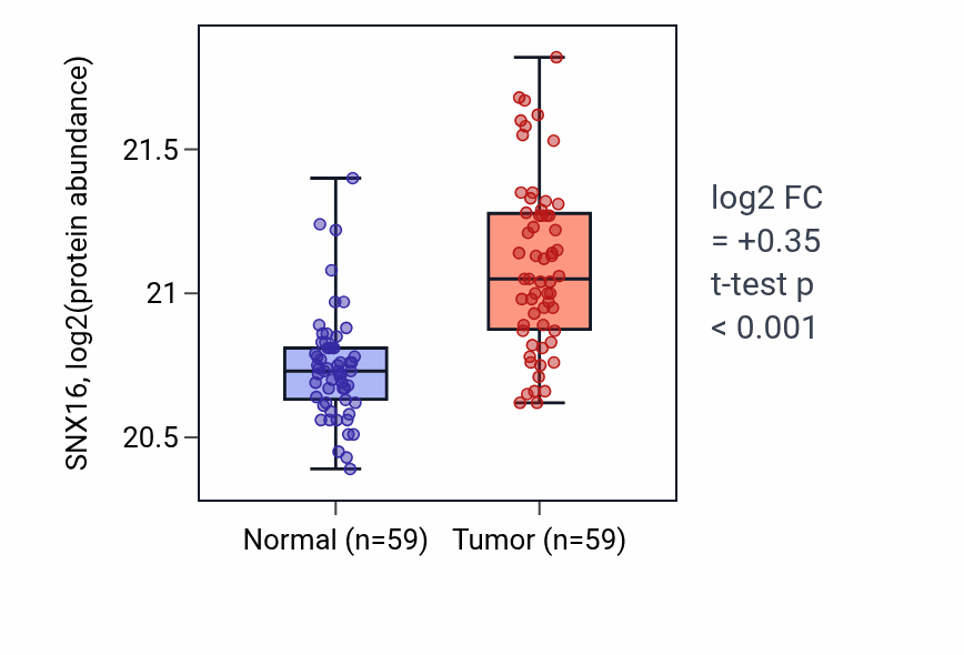 Tumor-vs-normal mass-spec protein box plot for SNX16 in CCRCC.