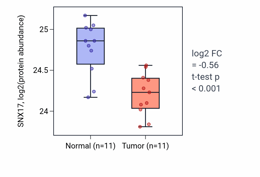 Tumor-vs-normal mass-spec protein box plot for SNX17 in CCRCC.