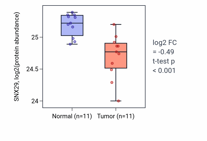 Tumor-vs-normal mass-spec protein box plot for SNX29 in CCRCC.