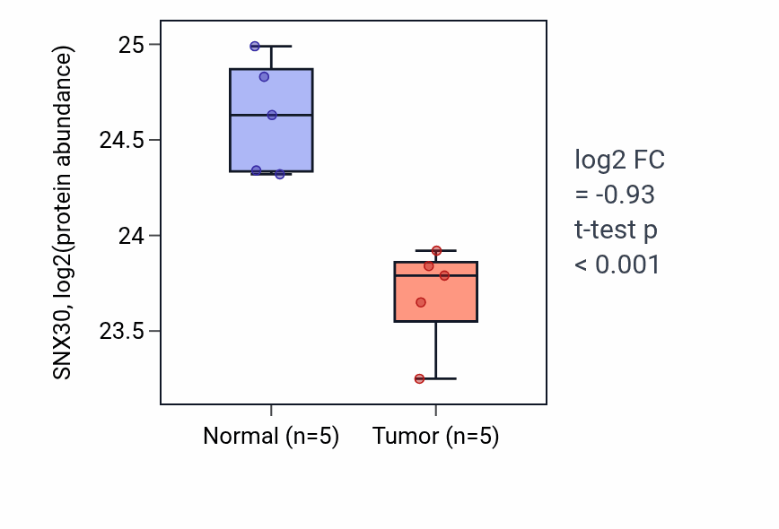 Tumor-vs-normal mass-spec protein box plot for SNX30 in CCRCC.