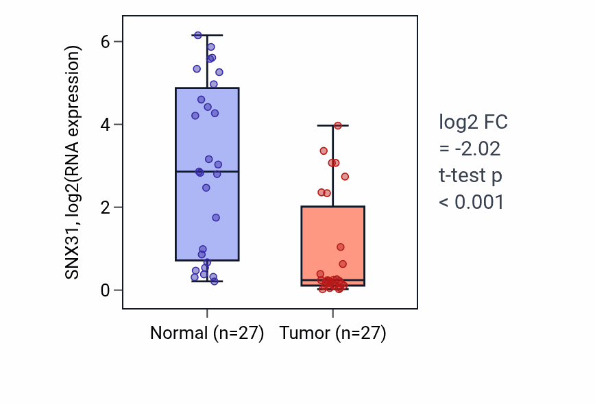 Tumor-vs-normal expression box plot for SNX31 RNA in HNSC.