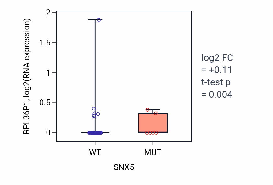 Box plot of RPL36P1 in SNX5-low vs SNX5-high samples in LUSC.