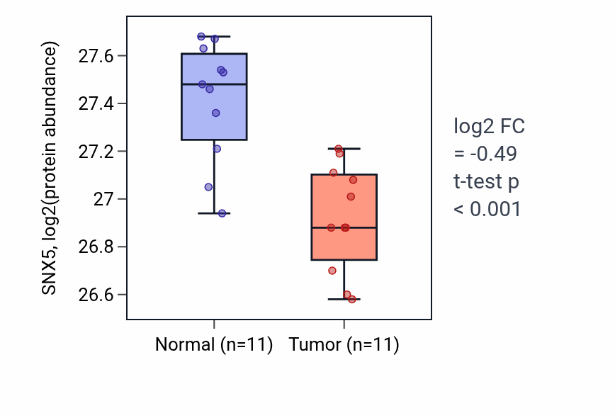 Tumor-vs-normal mass-spec protein box plot for SNX5 in CCRCC.