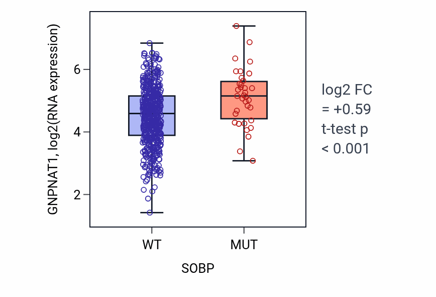 Box plot of GNPNAT1 in SOBP-low vs SOBP-high samples in UCEC.