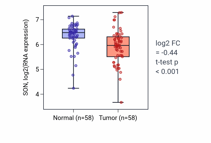 Tumor-vs-normal expression box plot for SON RNA in THCA.