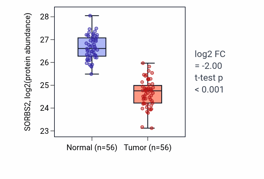 Tumor-vs-normal mass-spec protein box plot for SORBS2 in HNSC.