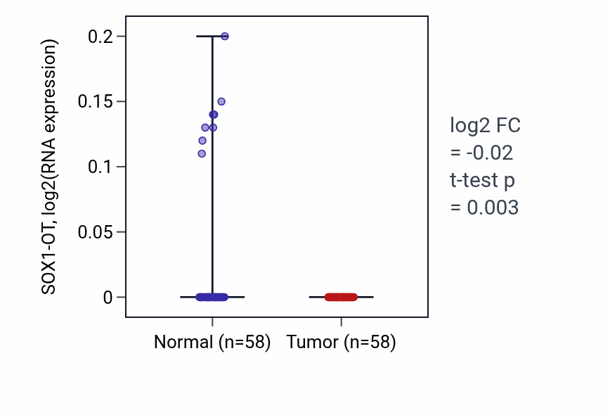 Tumor-vs-normal expression box plot for SOX1-OT in THCA.