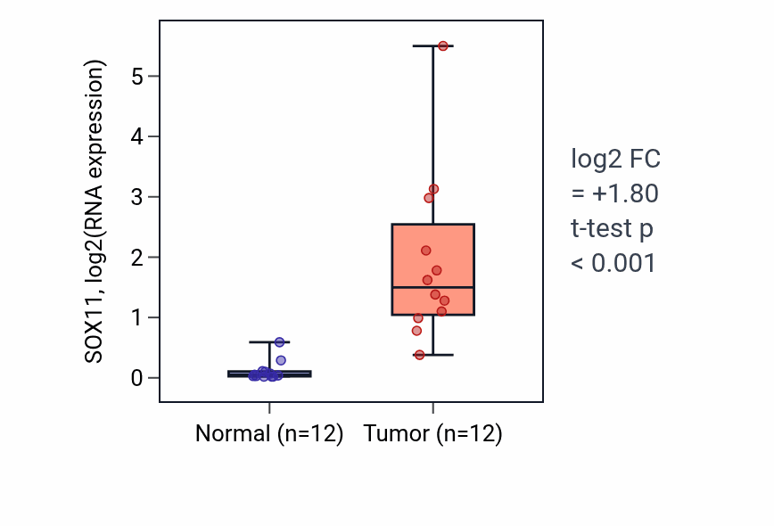 Tumor-vs-normal expression box plot for SOX11 RNA in KIRC.