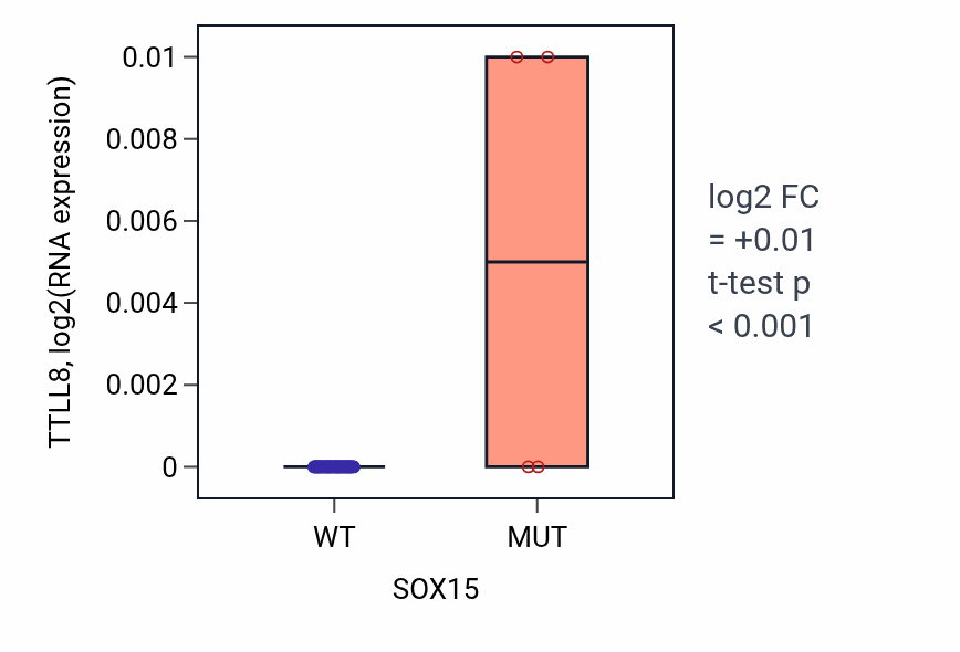 Box plot of TTLL8 in SOX15-low vs SOX15-high samples in LARGE_INTESTINE.