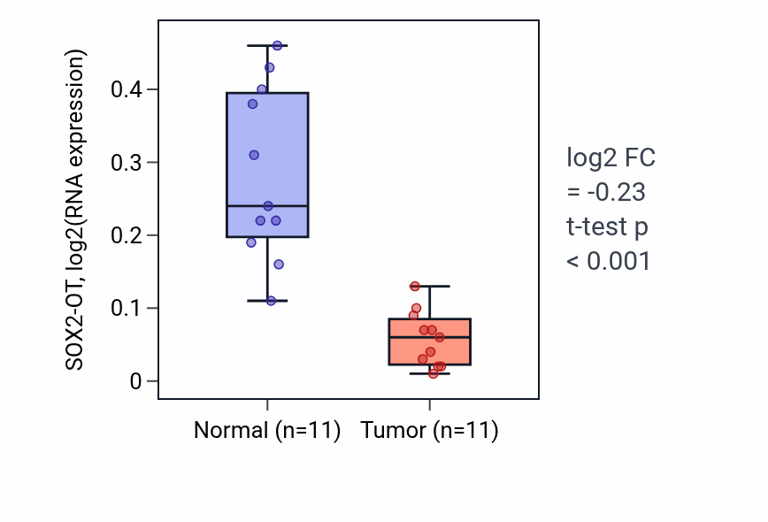 Tumor-vs-normal expression box plot for SOX2-OT in KIRP.