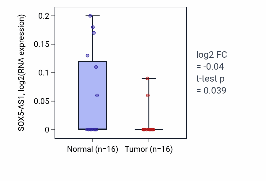 Tumor-vs-normal expression box plot for SOX5-AS1 in LUSC.