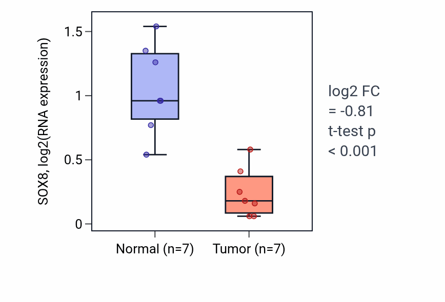 Tumor-vs-normal expression box plot for SOX8 RNA in BLCA.