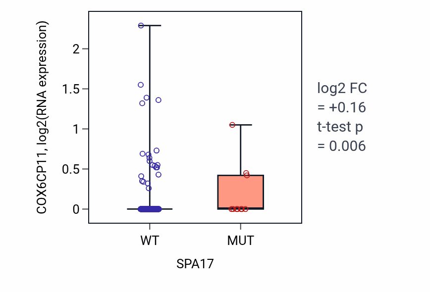 Box plot of COX6CP11 in SPA17-low vs SPA17-high samples in UCEC.