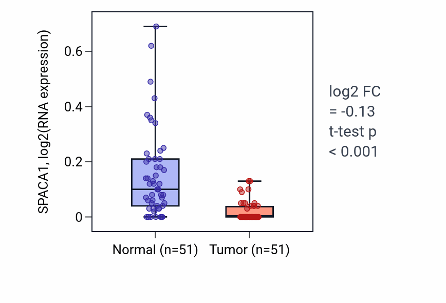 Tumor-vs-normal expression box plot for SPACA1 in KIRC.