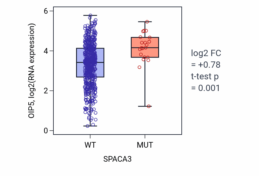 Box plot of OIP5 in SPACA3-low vs SPACA3-high samples in UCEC.