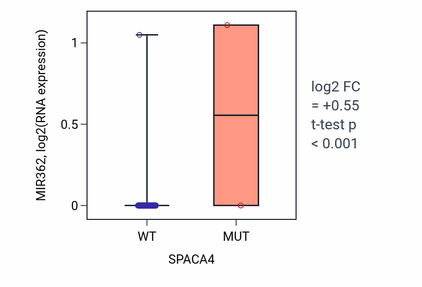Box plot of MIR362 in SPACA4-low vs SPACA4-high samples in HNSC.