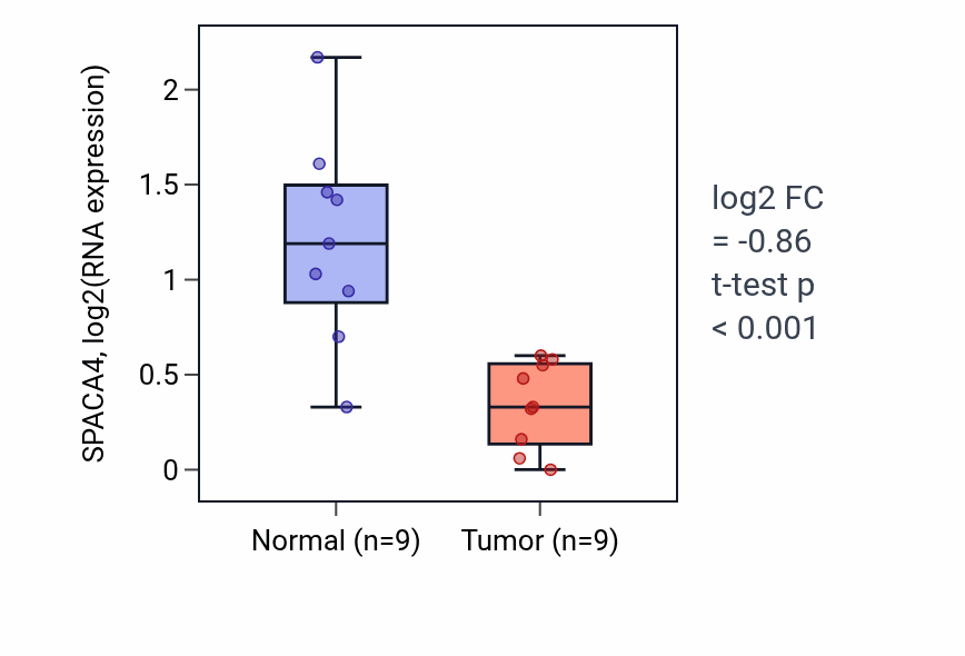 Tumor-vs-normal expression box plot for SPACA4 RNA in HNSC.