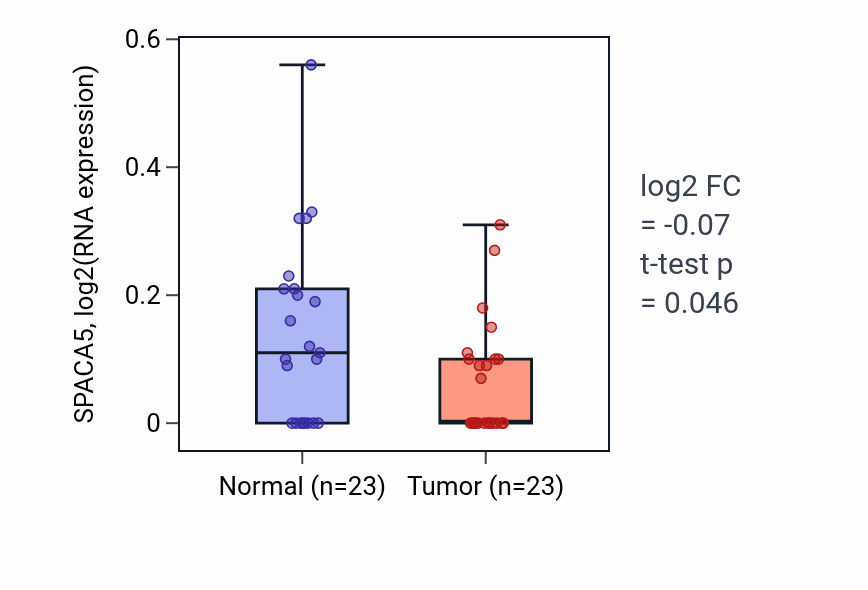 Tumor-vs-normal expression box plot for SPACA5 in THCA.