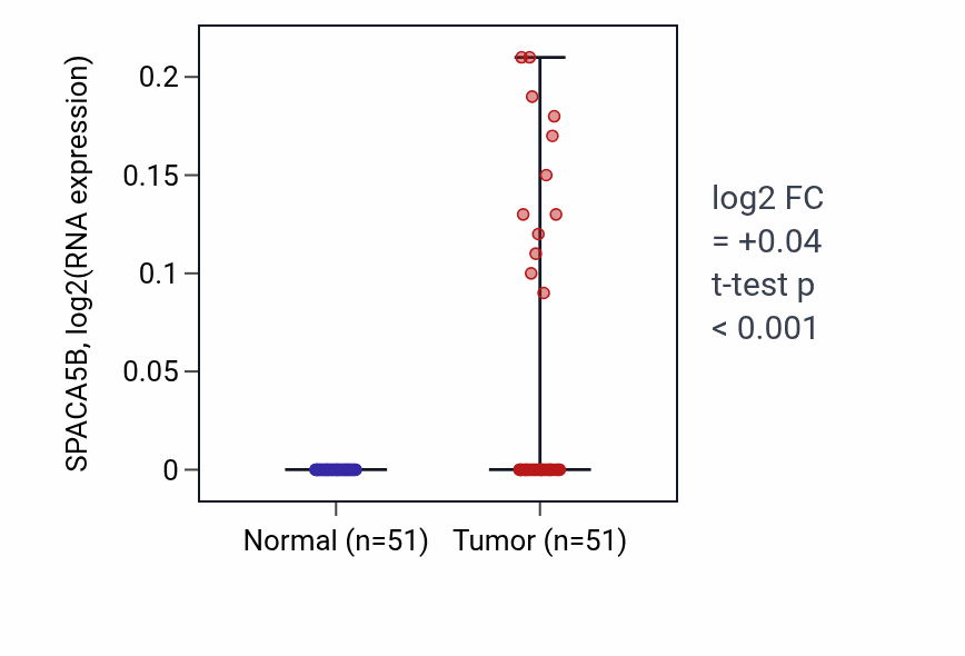 Tumor-vs-normal expression box plot for SPACA5B in KIRC.