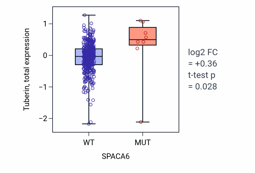 Box plot of Tuberin in SPACA6-low vs SPACA6-high samples in UCEC.