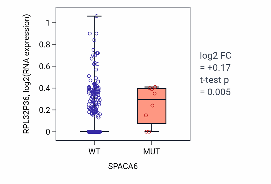 Box plot of RPL32P36 in SPACA6-low vs SPACA6-high samples in UCEC.