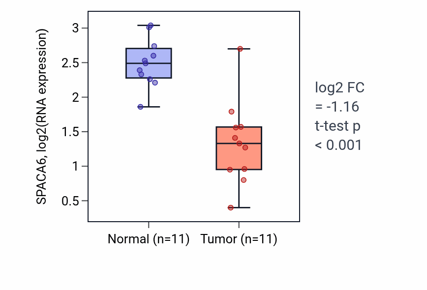 Tumor-vs-normal expression box plot for SPACA6 RNA in KICH.