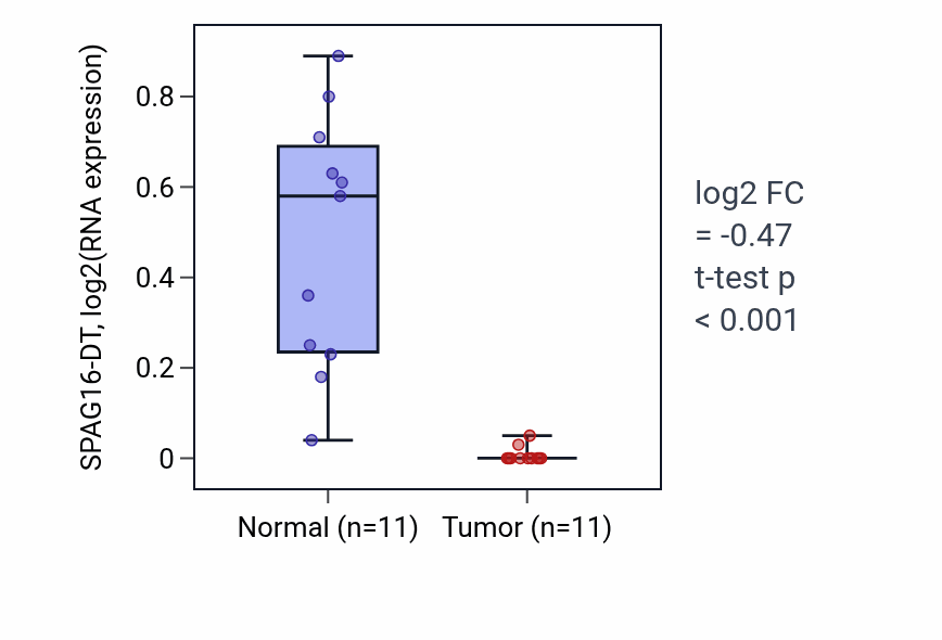 Tumor-vs-normal expression box plot for SPAG16-DT in KICH.