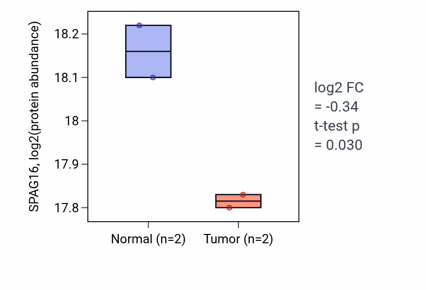 Tumor-vs-normal mass-spec protein box plot for SPAG16 in CCRCC.