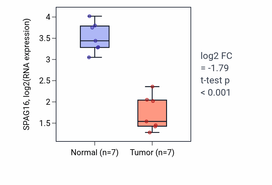 Tumor-vs-normal expression box plot for SPAG16 RNA in KICH.