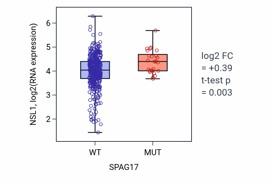 Box plot of NSL1 in SPAG17-low vs SPAG17-high samples in COAD.