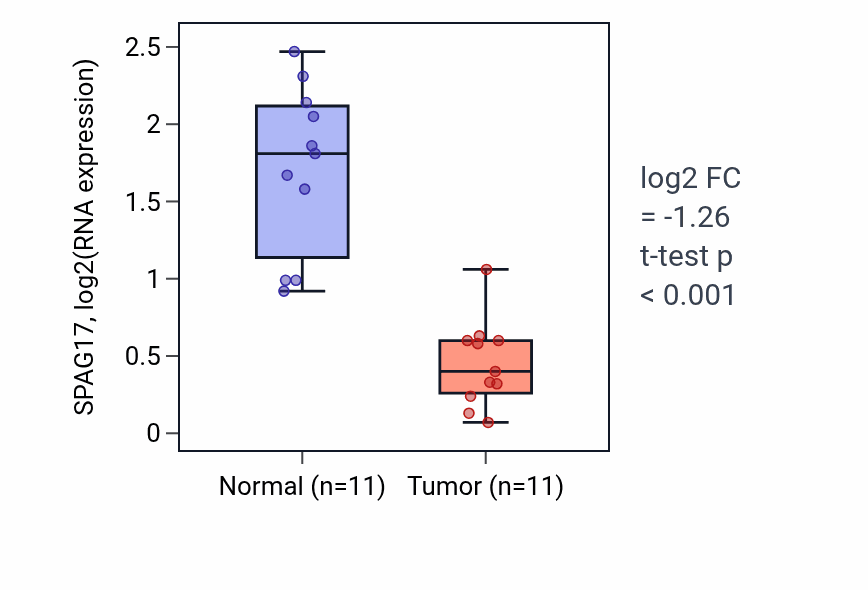 Tumor-vs-normal expression box plot for SPAG17 RNA in KICH.
