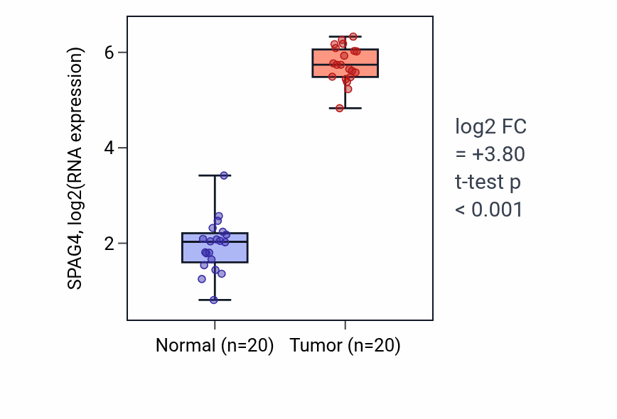 Tumor-vs-normal expression box plot for SPAG4 RNA in KIRC.