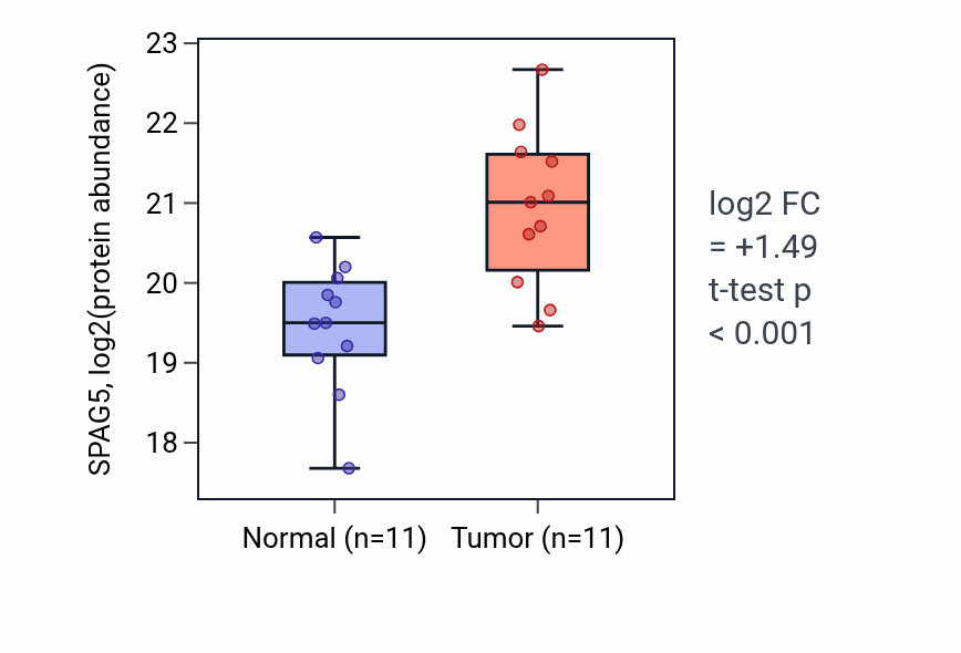 Tumor-vs-normal mass-spec protein box plot for SPAG5 in LUAD.