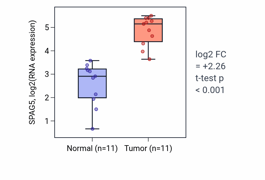 Tumor-vs-normal expression box plot for SPAG5 RNA in HNSC.