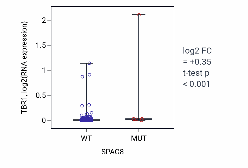Box plot of TBR1 in SPAG8-low vs SPAG8-high samples in COAD.