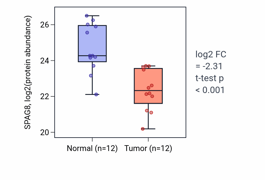 Tumor-vs-normal mass-spec protein box plot for SPAG8 in LSCC.
