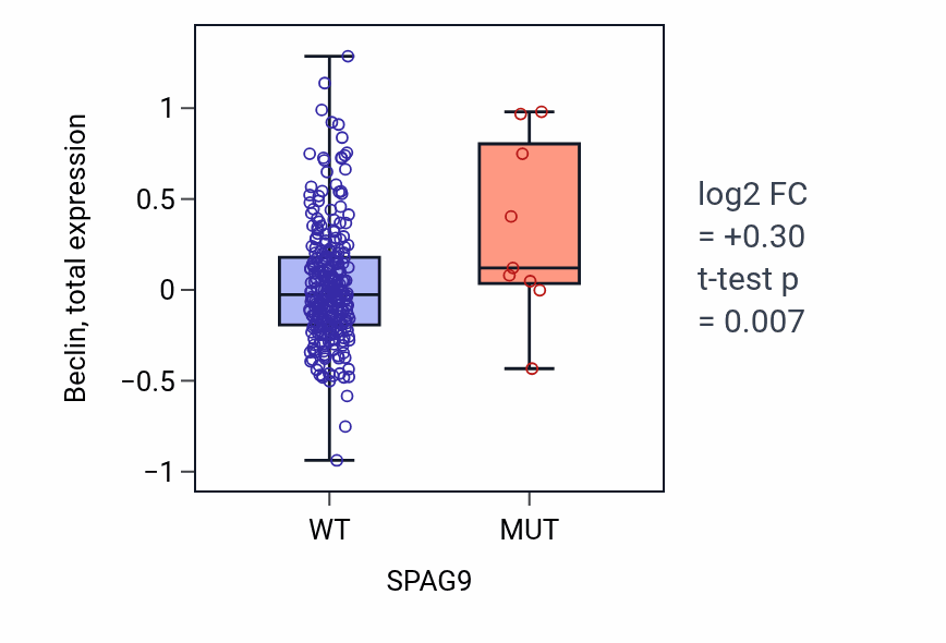 Box plot of Beclin in SPAG9-low vs SPAG9-high samples in STAD.