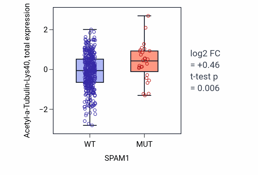 Box plot of Acetyl-a-Tubulin-Lys40 in SPAM1-low vs SPAM1-high samples in UCEC.