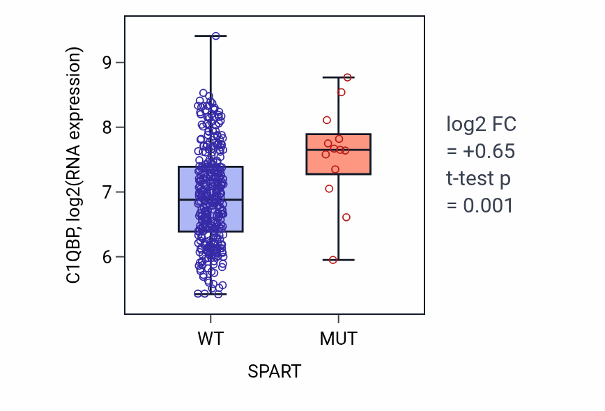 Box plot of C1QBP in SPART-low vs SPART-high samples in STAD.