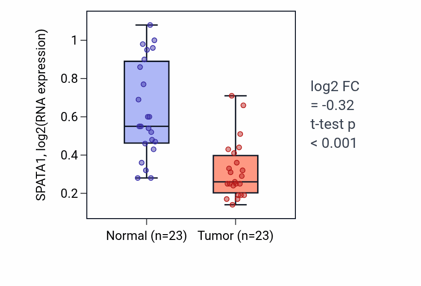 Tumor-vs-normal expression box plot for SPATA1 RNA in LUSC.