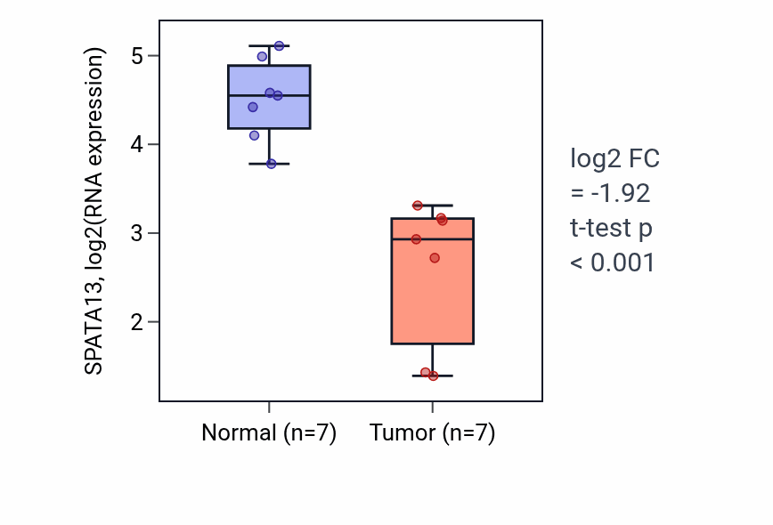 Tumor-vs-normal expression box plot for SPATA13 RNA in LUSC.
