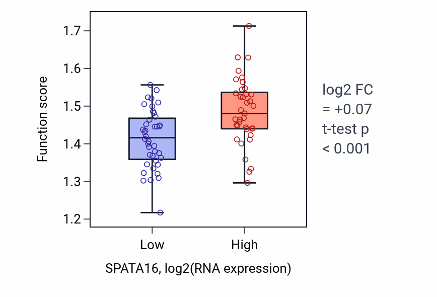 Box plot of Nuclear envelope organization in SPATA16-low vs SPATA16-high samples in SCLC.
