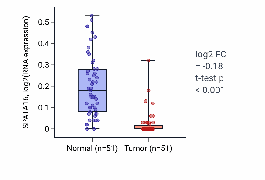 Tumor-vs-normal expression box plot for SPATA16 in KIRC.