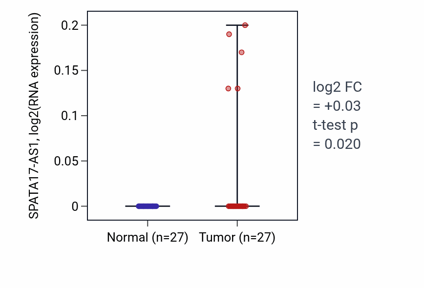 Tumor-vs-normal expression box plot for SPATA17-AS1 in HNSC.