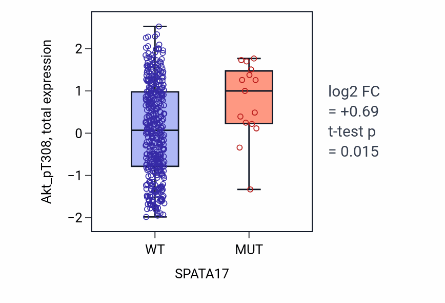Box plot of Akt_pT308 in SPATA17-low vs SPATA17-high samples in UCEC.