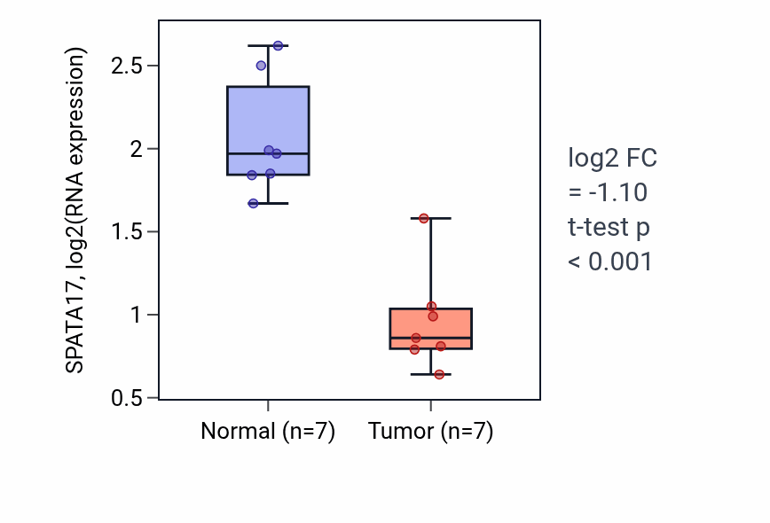 Tumor-vs-normal expression box plot for SPATA17 RNA in THCA.