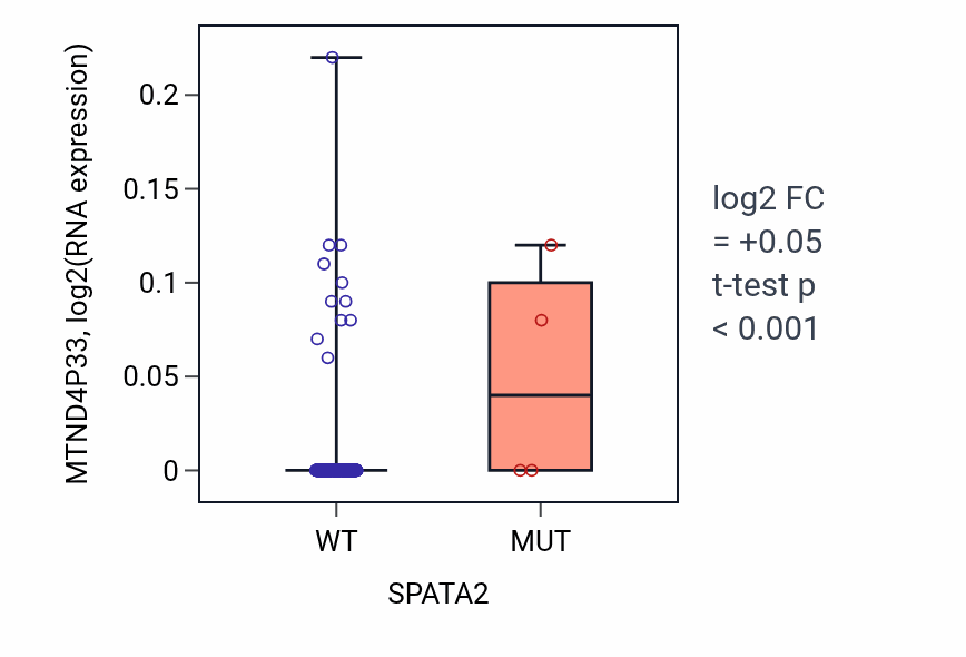 Box plot of MTND4P33 in SPATA2-low vs SPATA2-high samples in BLCA.