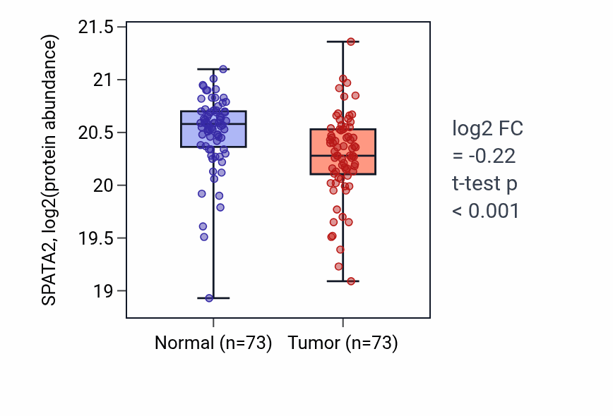Tumor-vs-normal mass-spec protein box plot for SPATA2 in CCRCC.