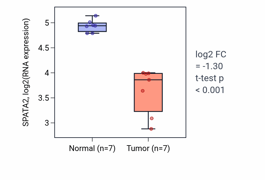 Tumor-vs-normal expression box plot for SPATA2 RNA in THCA.