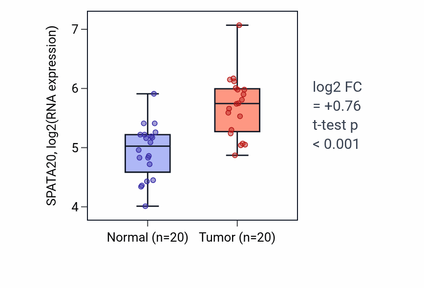 Tumor-vs-normal expression box plot for SPATA20 RNA in KIRC.